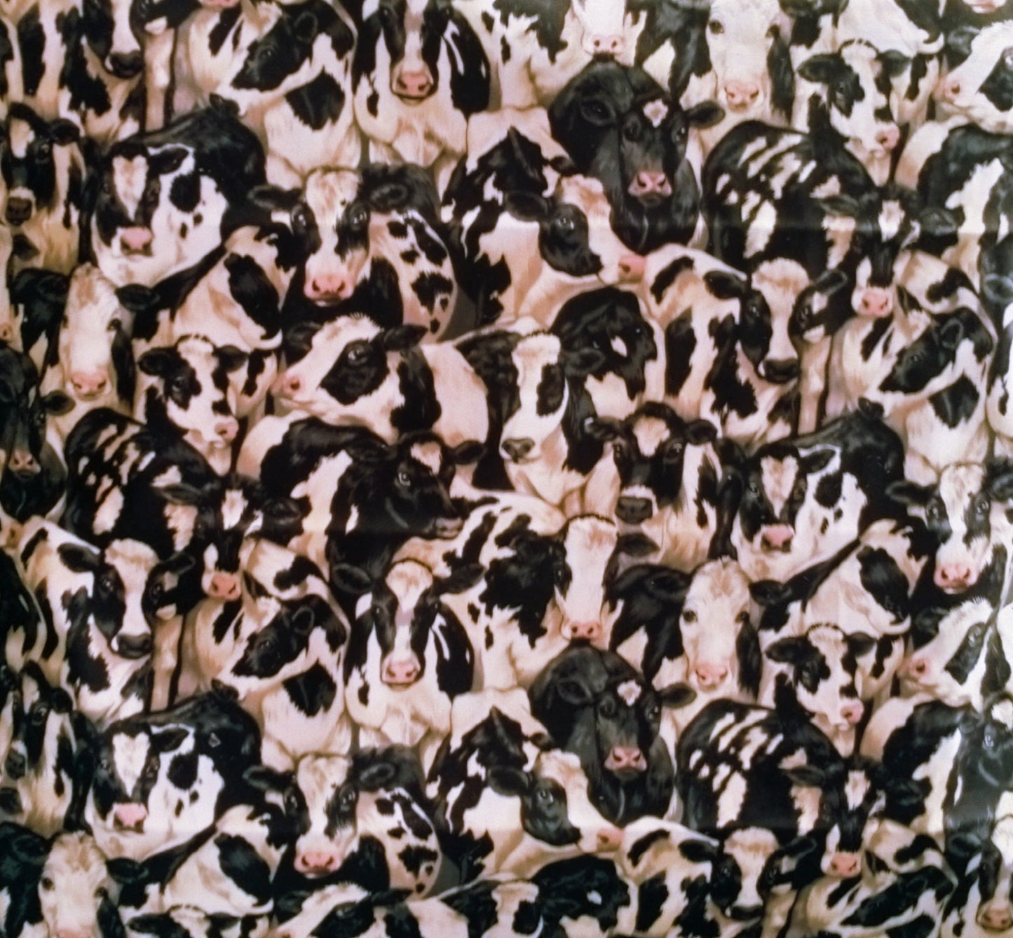 Beeswax wraps platter size