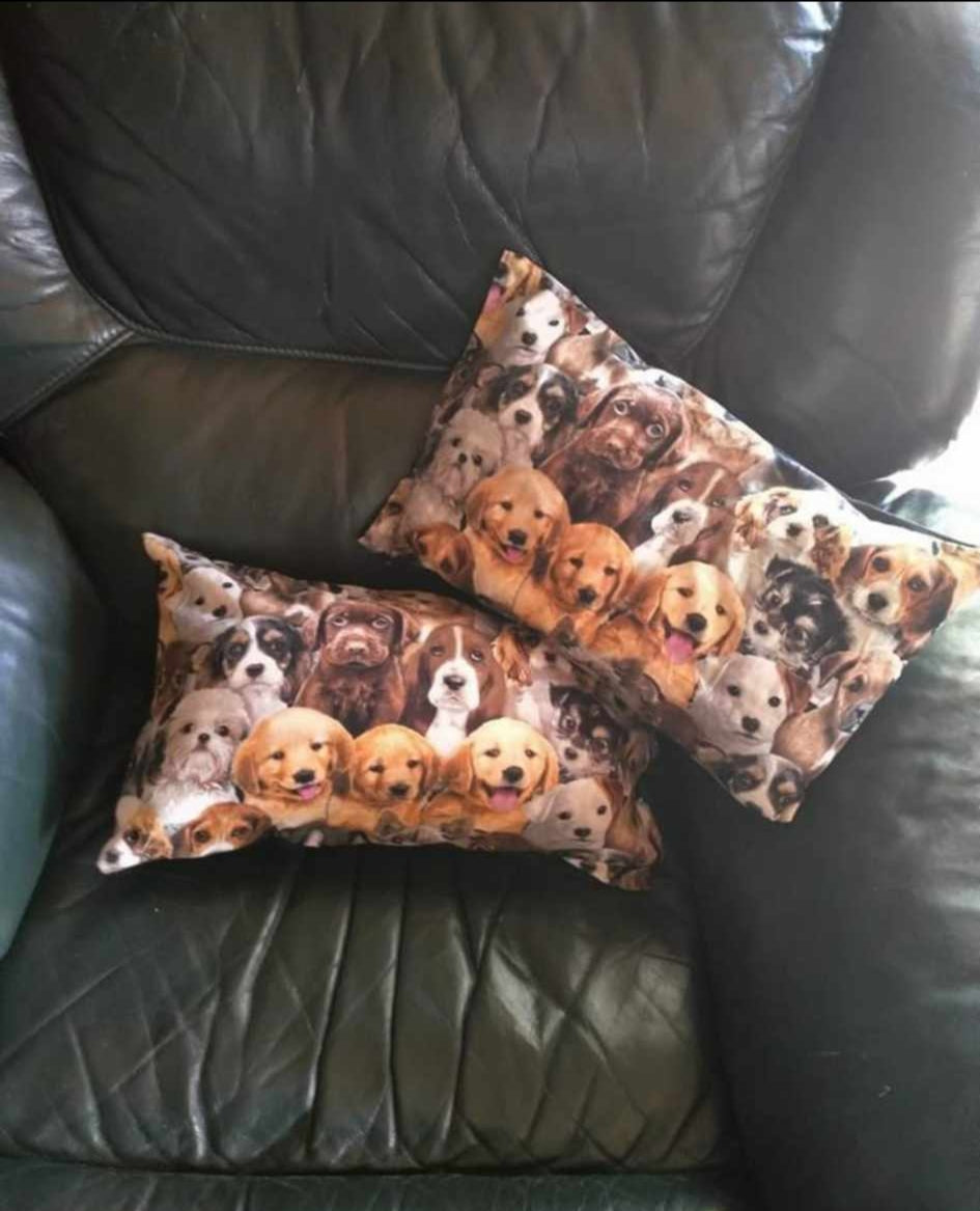 Breakfast  cushions