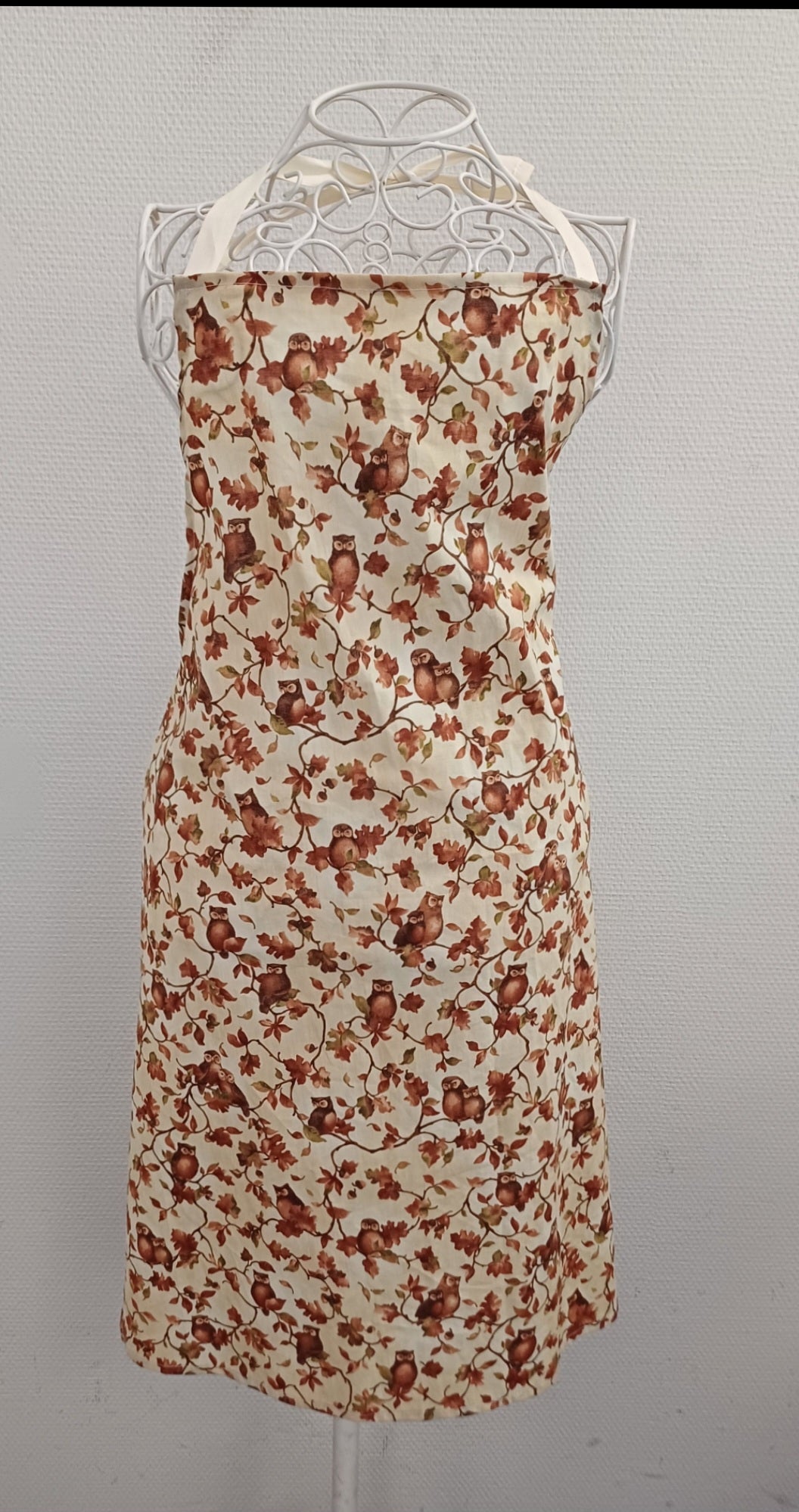 Adults aprons