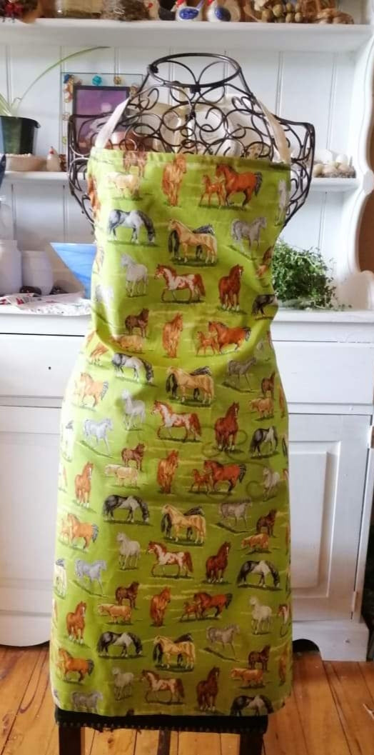 Adults aprons